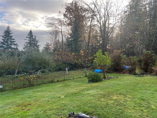 more views of garden. There are 4 apple and 2 cherry trees. | Image 28