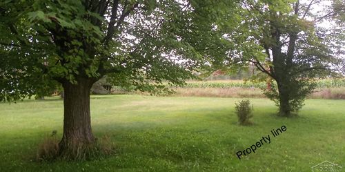 0 Simons St, Coleman, MI, 48618 | Card Image