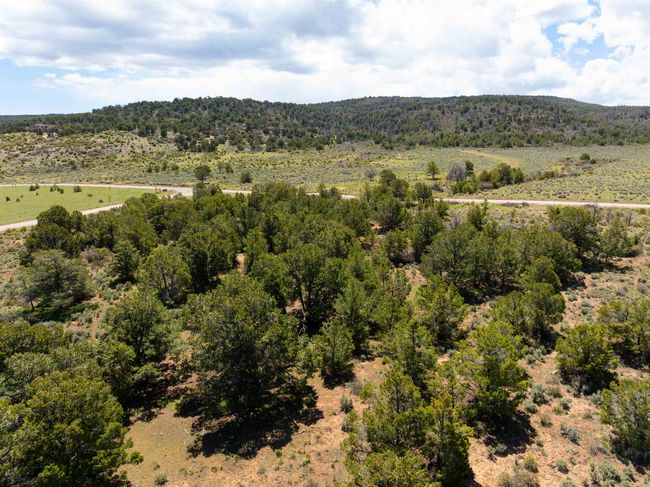 15770 Masters Ranch Dr, Home with 0 bedrooms, 0 bathrooms and null parking in Glade Park CO | Image 15