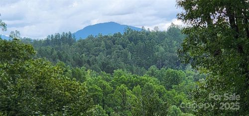 LOT 3 S Cross Creek Trl, Mill Spring, NC, 28756 | Card Image
