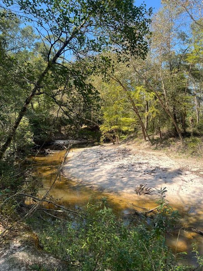 18157 State Highway 87 S, Home with 2 bedrooms, 1 bathrooms and 1 parking in Call TX | Image 25