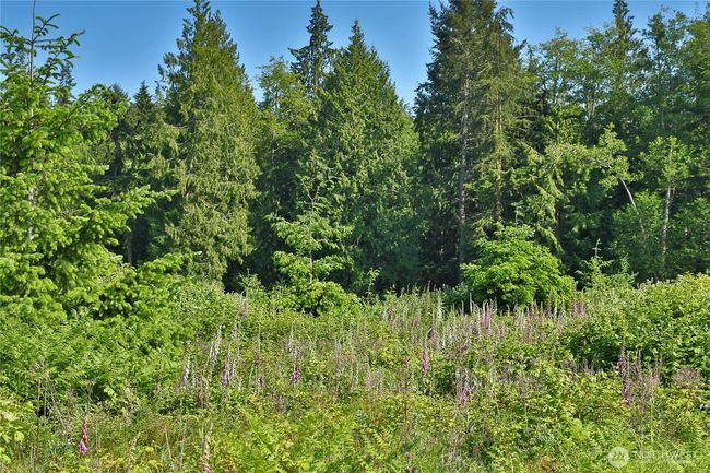 2062 Goodell Rd, Home with 0 bedrooms, 0 bathrooms and null parking in Freeland WA | Image 16