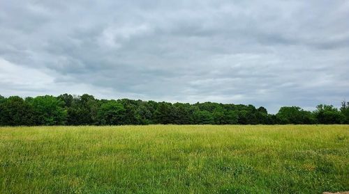 Lot 11 Pleasant View Rd, Brighton, MO, 65617 | Card Image