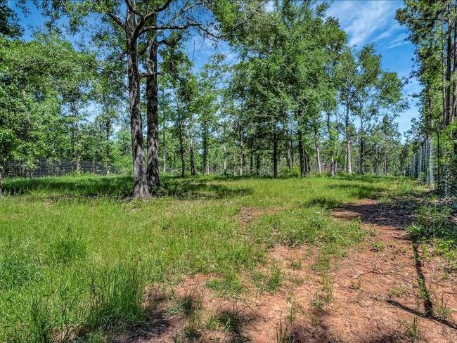 3103 Cheeseland Rd, Home with 0 bedrooms, 0 bathrooms and null parking in Pollok TX | Image 25
