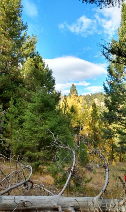 NHN Hoover Creek Rd, Helmville, MT, 59843 | Card Image