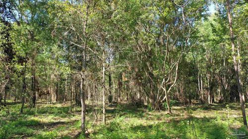 Lot 6 Harris St, Atmore, AL, 36502-1937 | Card Image