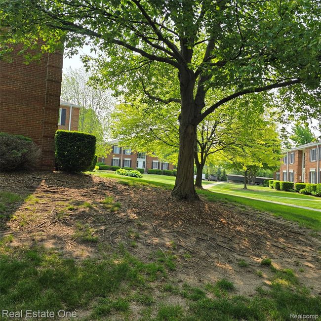 Grounds 4.jpg | Image 45