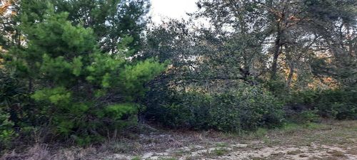 910 Granada Dr, Indian Lake Estates, FL, 33855 | Card Image