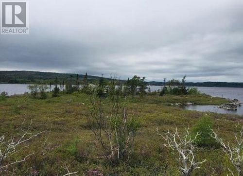 50162 Greenspond Road, New Wes Valley, NL, A0G1B0 | Card Image