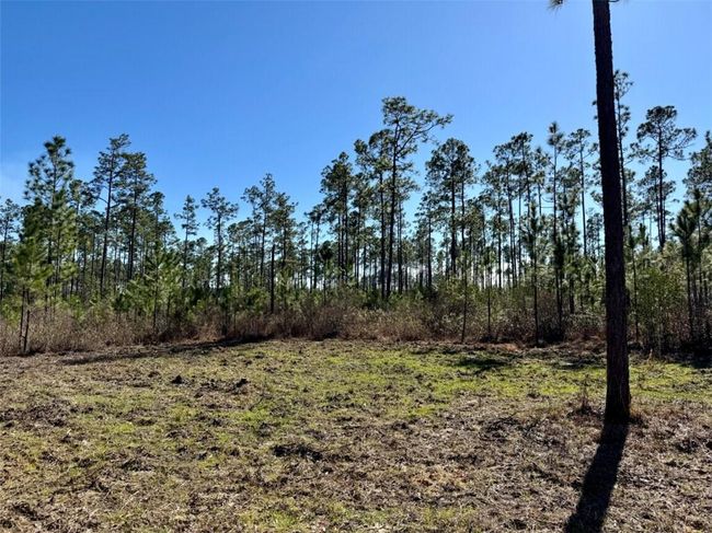 0 Robert White Rd, Home with 0 bedrooms, 0 bathrooms and null parking in Bay Minette AL | Image 20