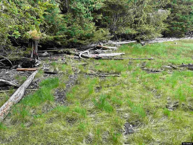 LOT-2-BLOCK-1 - NHN Legal Address Only, Home with 0 bedrooms, 0 bathrooms and null parking in Ketchikan AK | Image 7