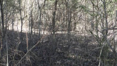 5.60ac Lewis James Ln, Riddleton, TN, 37151 | Card Image