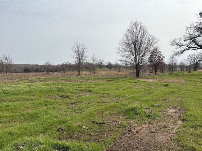 TRACT-2 - TBD County Road 2425, Home with 0 bedrooms, 0 bathrooms and null parking in Como TX | Image 15