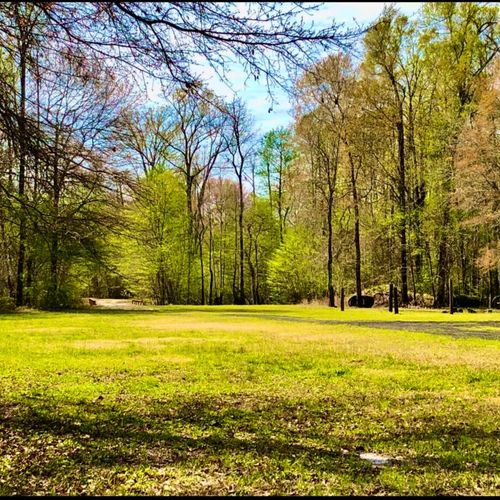 1041 Edisto River Road Road, Reevesville, SC, 29471 | Card Image