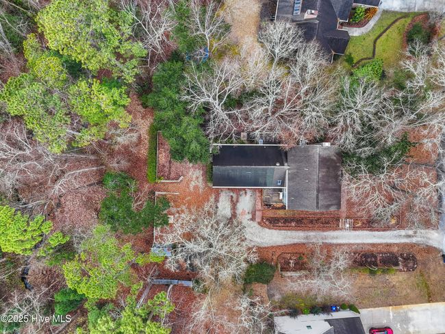 Birds Eye View | Image 54