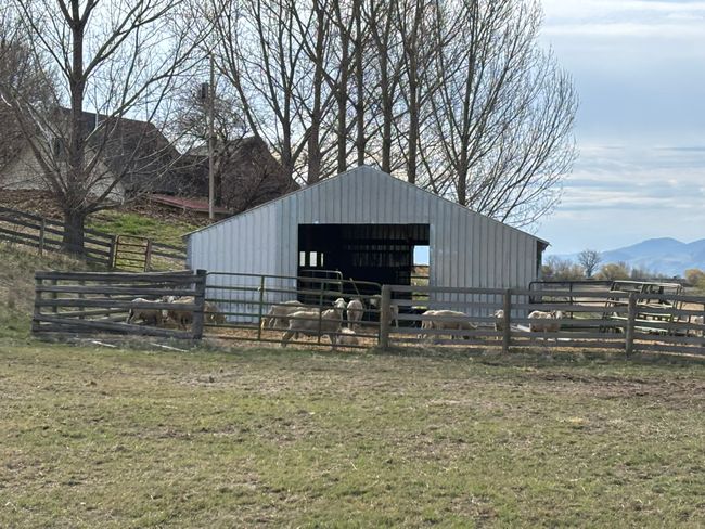 View of outbuilding with an outdoor structure, an exterior structure, a mountain view, and a rural view | Image 74