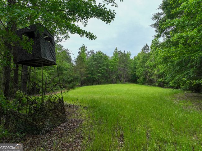 6620 Jr Sims Rd, Home with 0 bedrooms, 0 bathrooms and null parking in Irwinton GA | Image 12