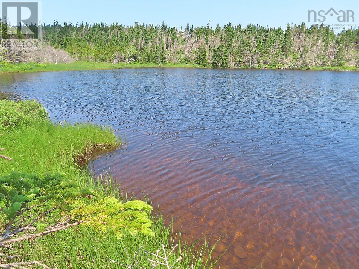 Land in Gabarus Lake 4