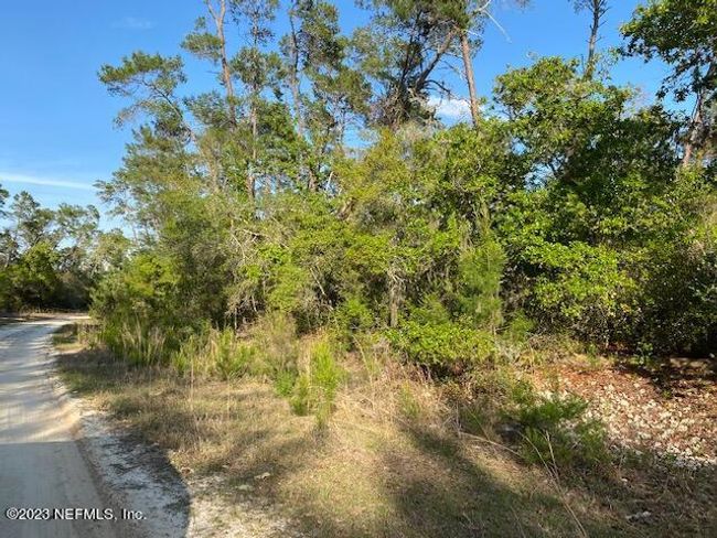 105 Sandpiper Ln, Home with 0 bedrooms, 0 bathrooms and null parking in Georgetown FL | Image 6
