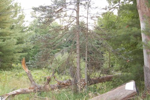 LOT 9 Dorothy Dr, Prescott, MI, 48756 | Card Image