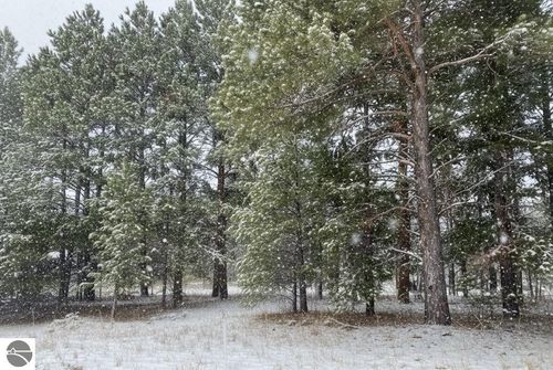 4 Spruce Hollow Trce, Fife Lake, MI, 49633 | Card Image