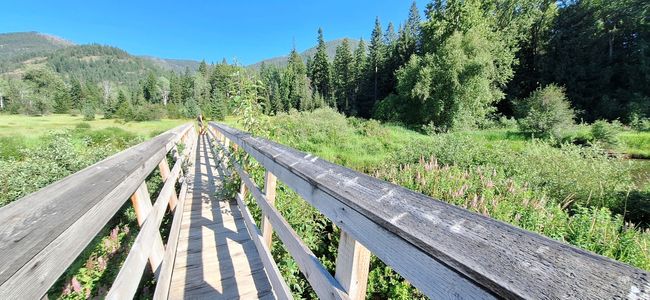 Area Attraction - bridge over Bull River | Image 83
