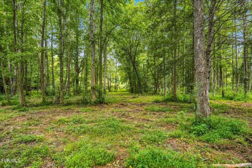 Tbd Mcinturff Springs Rd, Erwin, TN, 37650 | Card Image