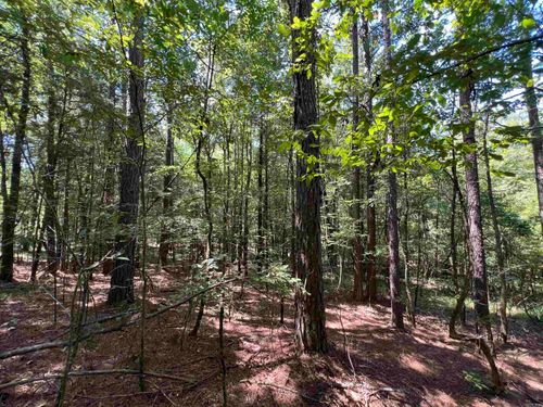 000 Davidson Campground Rd, Okolona, AR, 71962 | Card Image