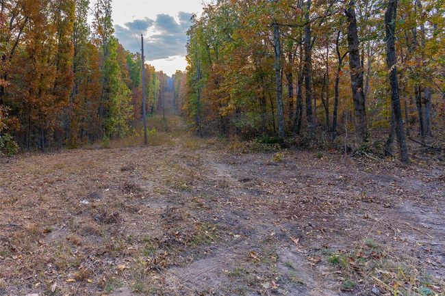 5 - 0 Highway Jj, Home with 0 bedrooms, 0 bathrooms and null parking in Marquand MO | Image 15