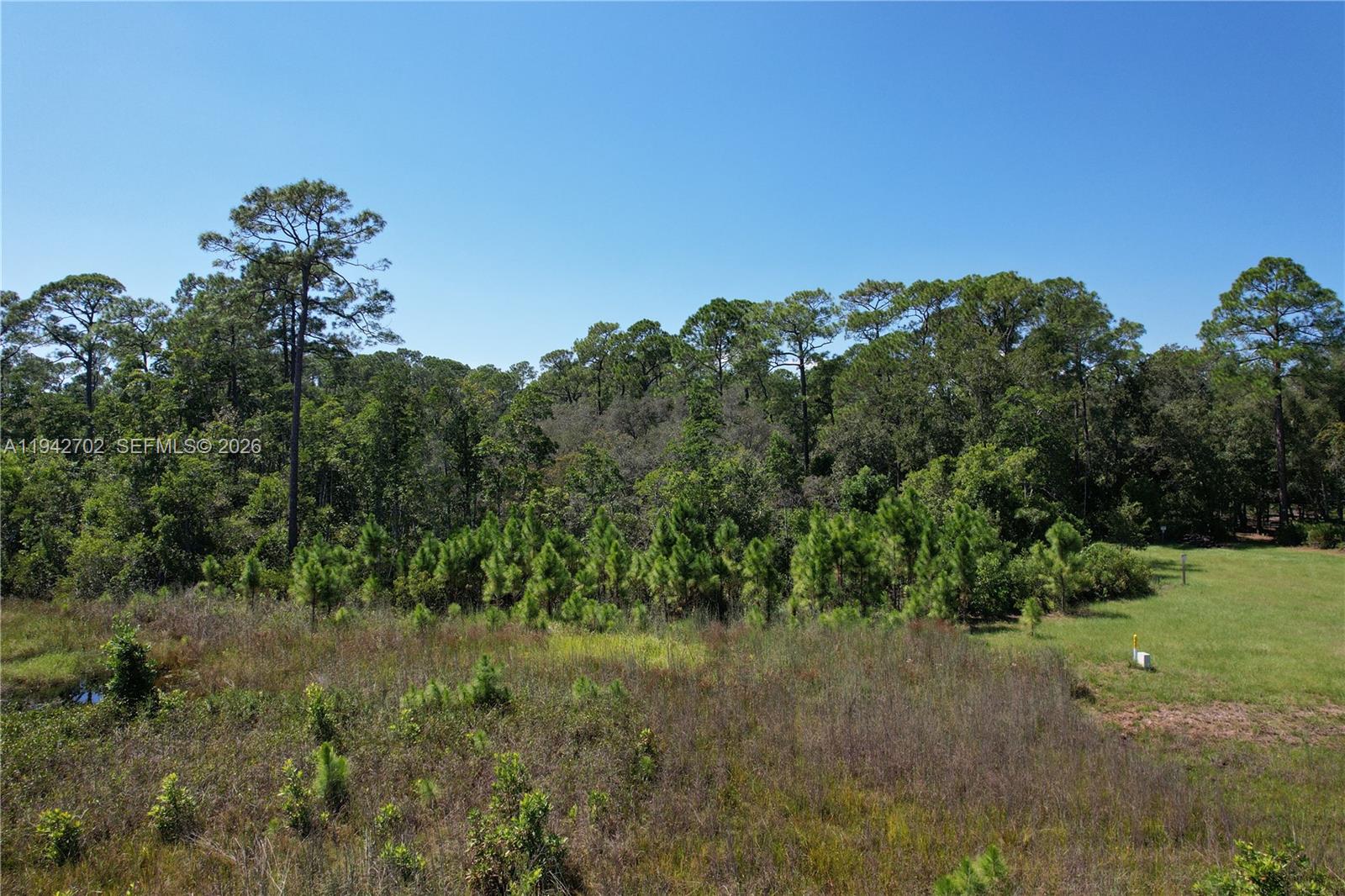 Land in Haines City 5