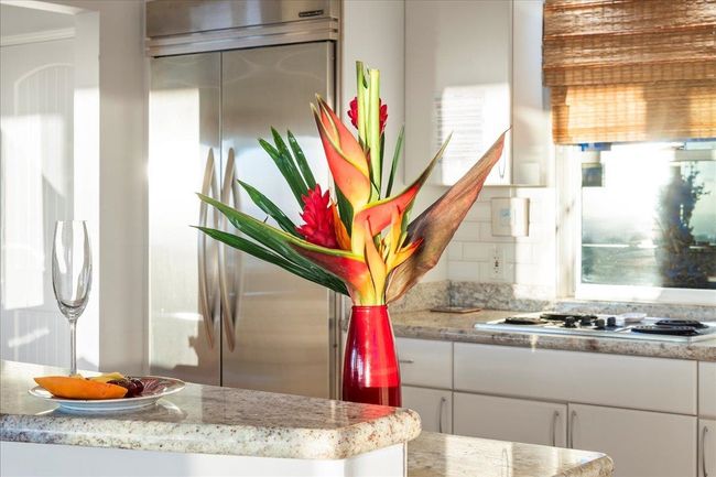 736 Mililani Pl, House other with 3 bedrooms, 3 bathrooms and null parking in Kihei HI | Image 13