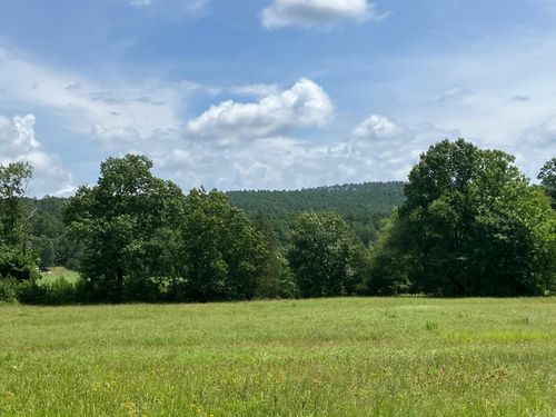 8627 Wildflower Ln, Waldron, AR, 72958-8413 | Card Image