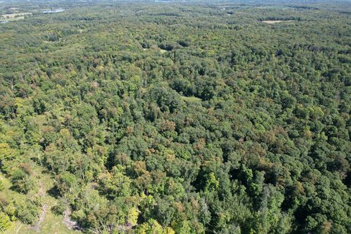 TBD 485th St, Vergas, MN, 56587 | Card Image