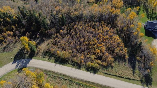 9 - 15015 Township Road 424, Home with 0 bedrooms, 0 bathrooms and null parking in Bashaw AB | Image 5