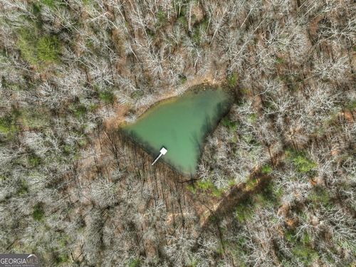 8.52 AC Mcnelley Dr, Morganton, GA, 30560-2727 | Card Image