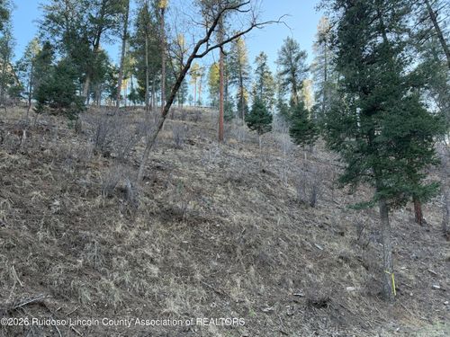 2-L 48 Flume Canyon Road, Ruidoso, NM, 88345 | Card Image