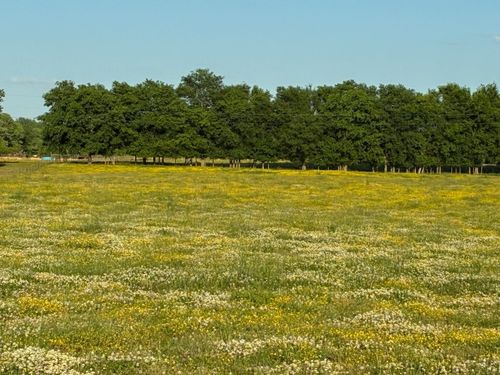 0 Old Military Rd, Mount Pleasant, TN, 38474 | Card Image