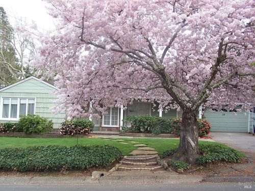 10 Donna Maria Way, Orinda, CA, 94563-4112 | Card Image