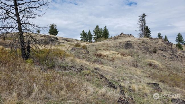 4100 Bissell Rd, Home with 0 bedrooms, 0 bathrooms and null parking in Hunters WA | Image 9