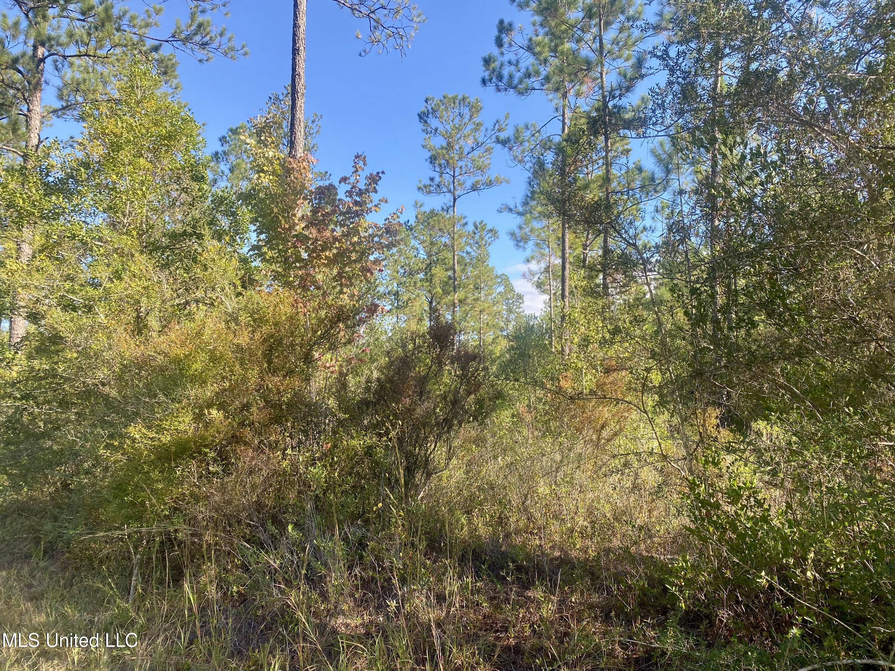 170 Deep Creek Road, For Sale in Wiggins Zoocasa