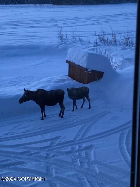 Pettis Dr, Willow, AK 99688