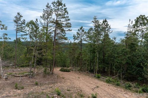 Tract 4 Hidden Valley, Annapolis, MO, 63628 | Card Image