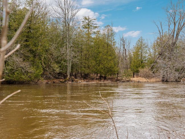 46-web-or-mls-A7406001 | Image 46