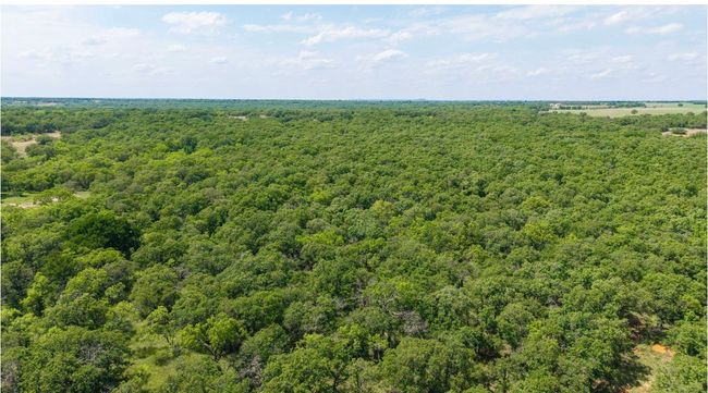 Bird's eye view with a wooded view | Image 39