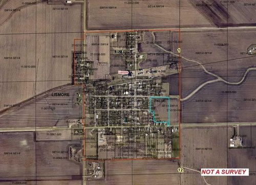 TBD E 4th St, Lismore, MN, 56155 | Card Image