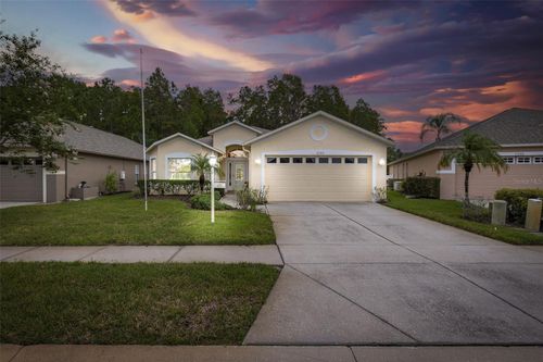 1153 Dustan Place, TRINITY, FL, 34655 | Card Image