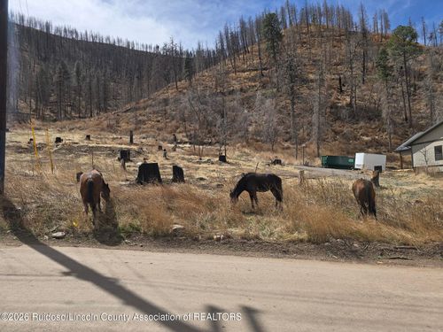 1133 Main Road, Ruidoso, NM, 88345 | Card Image