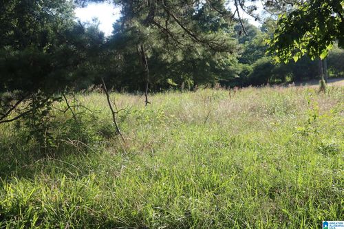 1-2-3-174 Poplar Springs Drive, SYLVAN SPRINGS, AL, 35118 | Card Image