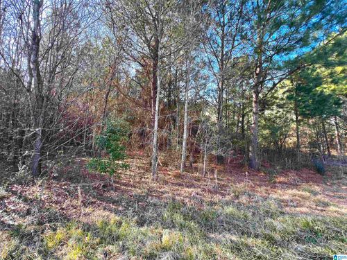 n-832 11th Ave, Pleasant Grove, AL, 35127-1521 | Card Image