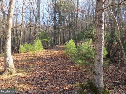 10 Cedarwwood Drive Rd, Mathias, WV, 26812 | Card Image